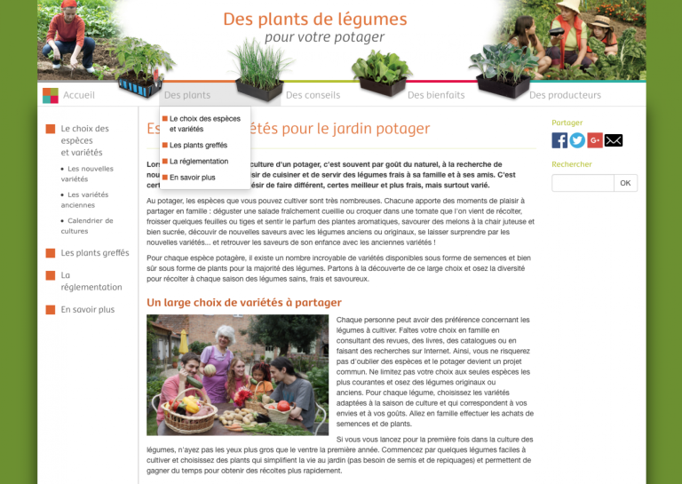 Plants de légumes